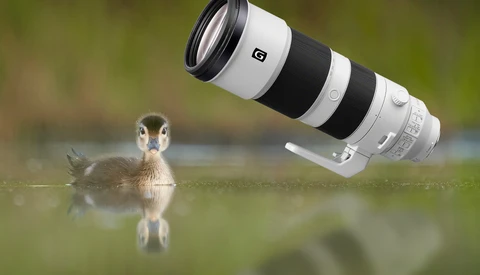 Fstoppers Long-Term Review of the Sony FE 200-600mm f/5.6-6.3 G OSS Lens