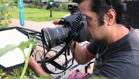5 Great Macro Photography Tips for Beginners