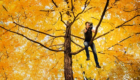 5 Camera Features That Have Changed the Way I Shoot