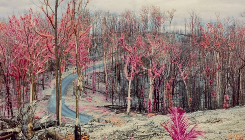 An Australian Photographer is Hosting his Charitable Art Exhibit Inside Minecraft
