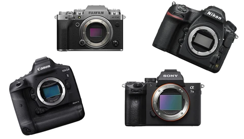 The Most Important Camera Feature Photographers Overlook