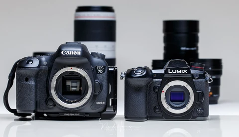 Should I Use a Crop Sensor or Crop an Image From a Full Frame Sensor?