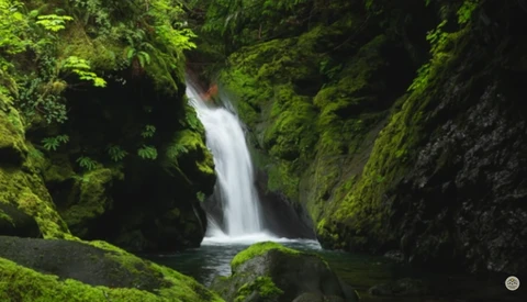 How to Create Sharper Photos Using Focus Stacking
