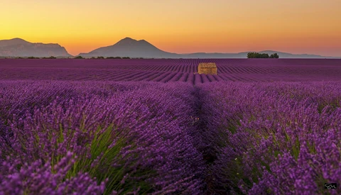 Do You Have a Bucket List Photo?