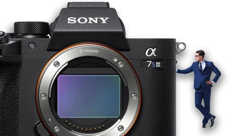 What Should We Expect from the Sony a7S III?