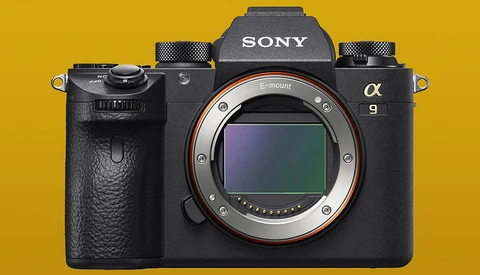 Sony Camera Settings for Bird Photography