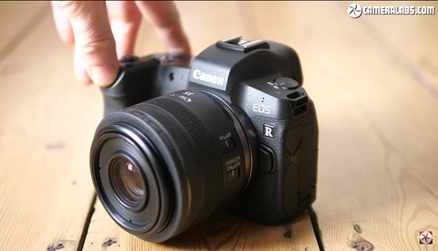 Cheap and Versatile: A Review of the Canon RF 35mm f/1.8 IS Macro STM Lens