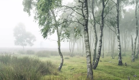 How a Professional Landscape Photographer Edits an Image From Raw to Print