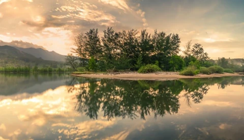 8 Essential Composition Tips to Improve Your Photography