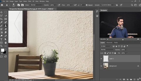 How to Remove Anything, Even From a Complex Perspective
