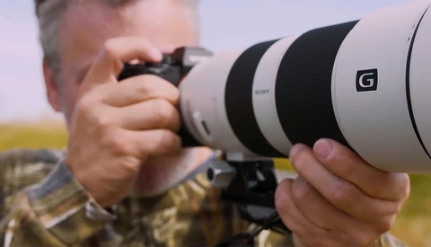 Using the Sony 200-600mm Lens for Bird Photography