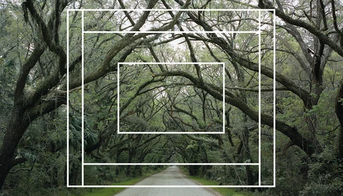 A Primer to Shooting Film in 2020: Format and Camera Options