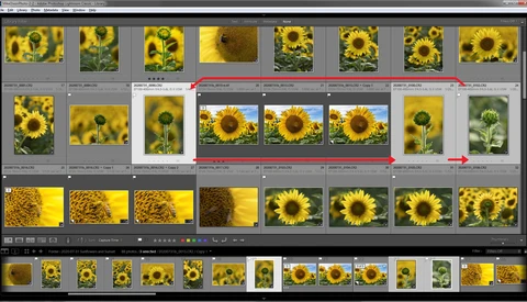Three Lightroom Features That You Probably Don't Know About