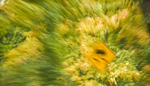 Yes, Taking Photos Counts as Distracted Driving and Here's Why You Need to Stop