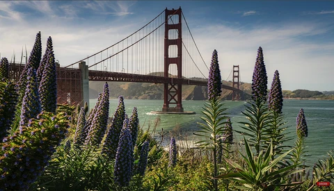 Common Beginner Wide Angle Mistakes in Landscape Photography