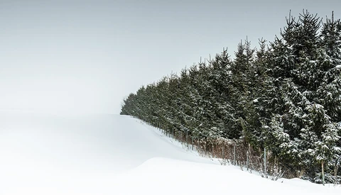 What Does It Take to Make a Minimalist Photo?