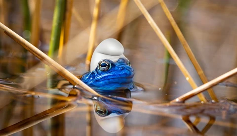 Are Your Photos Real or Not? If They Are Real, How Do You Prove It?