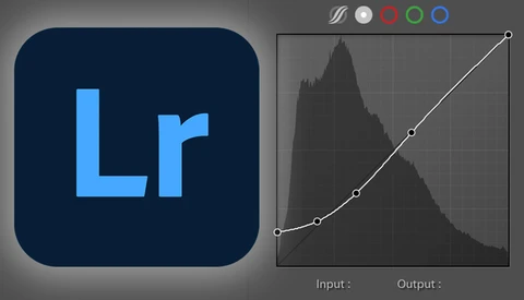 5 Tips on How to Use Lightroom’s Tone Curves Panel