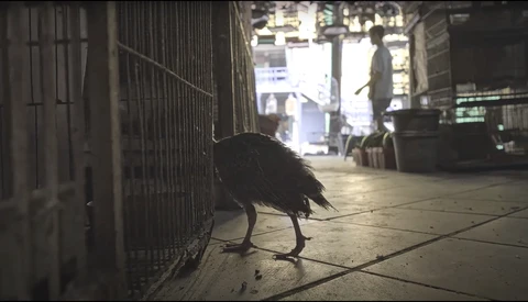 ‘Moments in Time’ Takes a Close Look at Both the Bright and Dark Sides of Jakarta