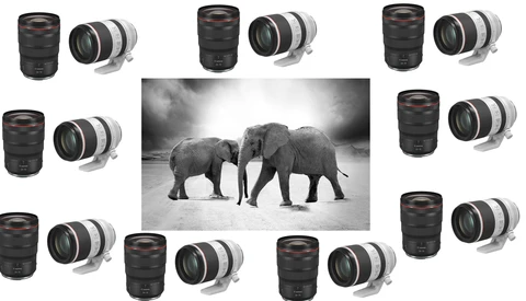 If Canon Doesn't Fix This Huge Problem, Its Mind-Blowing Roadmap for 2021 Will Be Utterly Pointless for Many