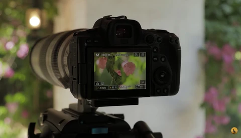 Should You Use Teleconverters Instead of Longer Lenses?