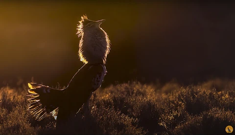 How to Reduce the Noise in Your Photos When They're Captured
