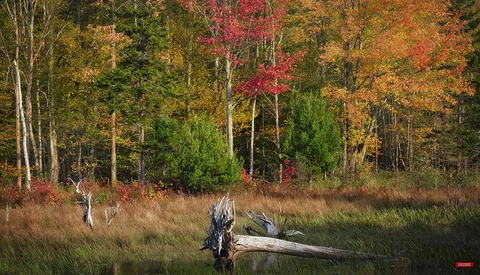 Helpful On-Location Tips That Will Improve Your Landscape Photography