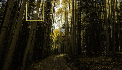 How to Capture the Perfect Sunburst