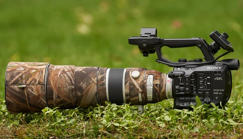 Sony FS5 II Review and Comparison to Alpha Cameras for Wildlife Filmmaking