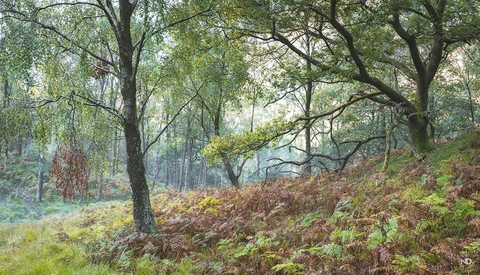 A Common Mistake Many Landscape Photographers Make