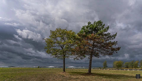 How to Save Time in Lightroom by Copying Develop Settings