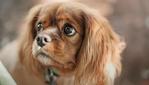 Just How Great Is the Fujifilm XF 50mm f/1.0 R WR Lens?