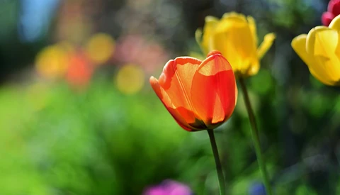 Nifty Fifty: A Review of the Nikon AF-S NIKKOR 50mm f/1.8G Lens