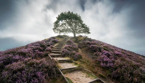 Why Denmark Is the Fantastic Landscape Photography Country You Will Never Visit