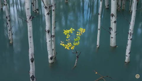 Creating Uniquely Silky Fall Photos