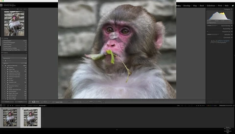 Lightroom Settings All Photographers Should Know About