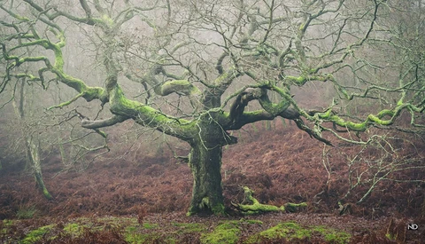 Helpful Composition Advice for Landscape Photography