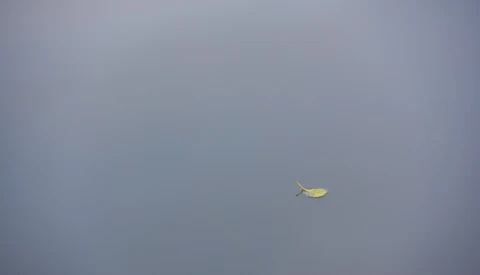What Is Minimalist Photography and How Do You Do It?