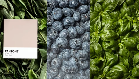 Is This Inspiration or Plagiarism ?