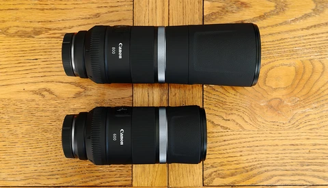 Should You Buy Canon's RF 600mm f/11 or RF 800mm f/11 Lens?