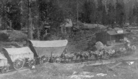 A Full Team on the Sierras: Images From 1866