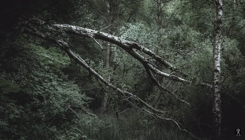 The Joy and Escape of Landscape Photography