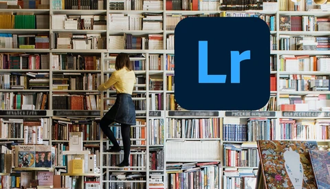 Organize Your Entire Photo Library With Ease in Lightroom
