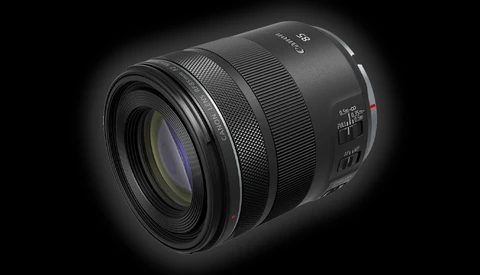 Super Sharp and Good Value? A Review of the Canon RF 85mm f/2 Macro IS STM Lens