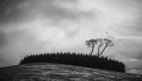 Landscape Photography Doesn't Always Have to Be Epic