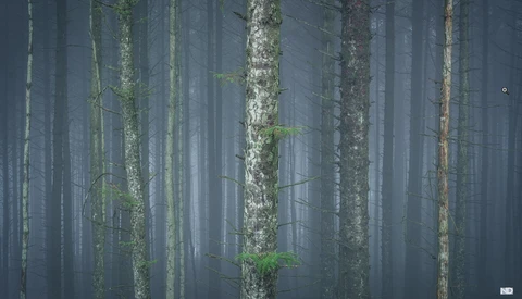 7 Editing Techniques Landscape Photographers Should Know