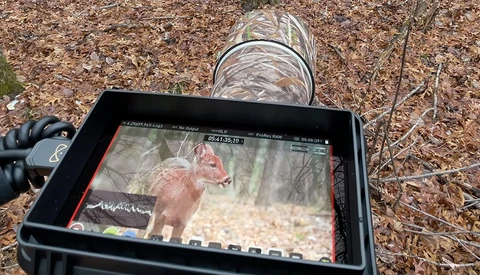 Reviewed: Atomos Ninja V on Sony a7S III