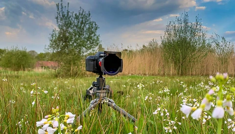 Is Dynamic Range Important in Landscape Photography?