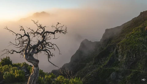 Why You Should Limit Your Focus at New Landscape Photography Locations