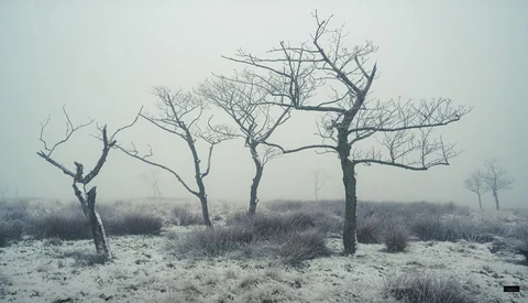 Compositional Advice for Landscape Photography